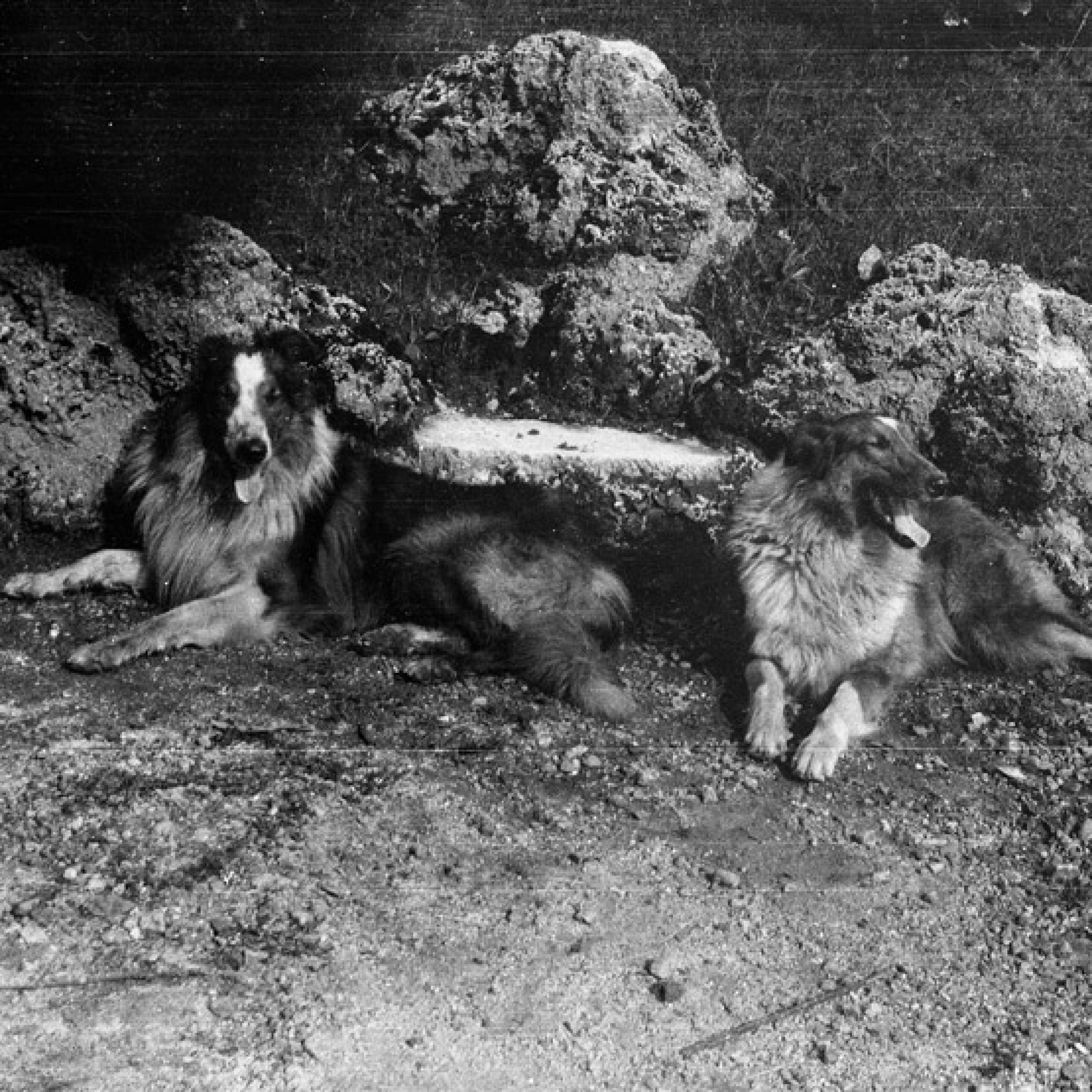 Collies_Ermenegildo_Zegna_g[1]