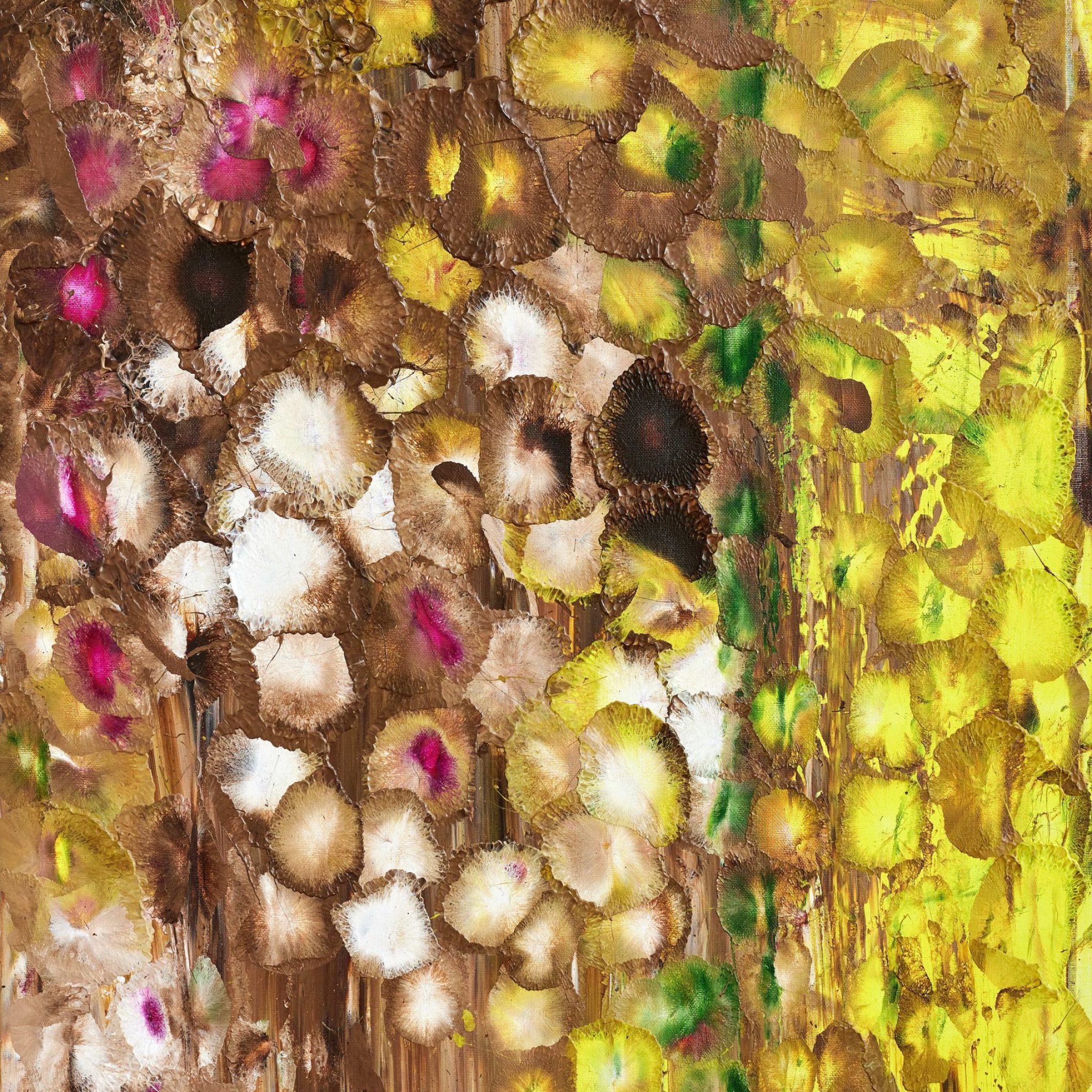 Roberto Coda Zabetta Frana e Fango LR