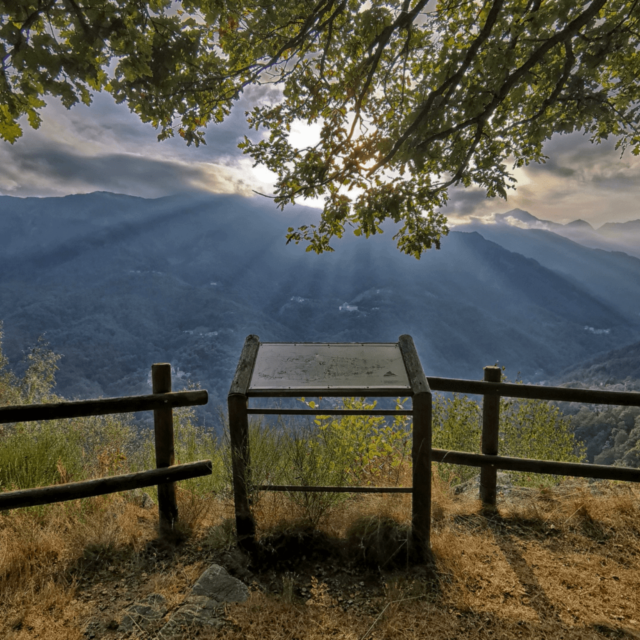 panorama-1