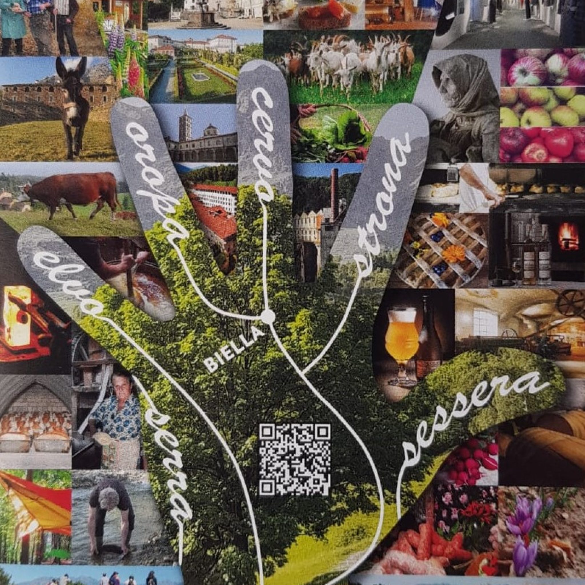 rete museale biellese